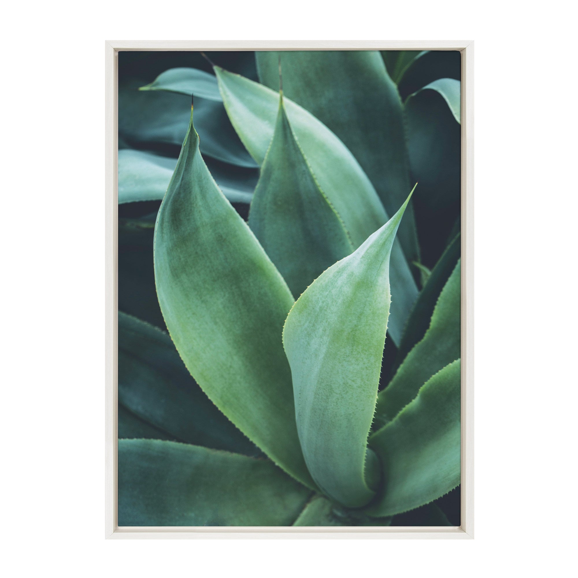 Sylvie Agave II Framed Canvas by kateandlaurel - product image 8 for Resin Society