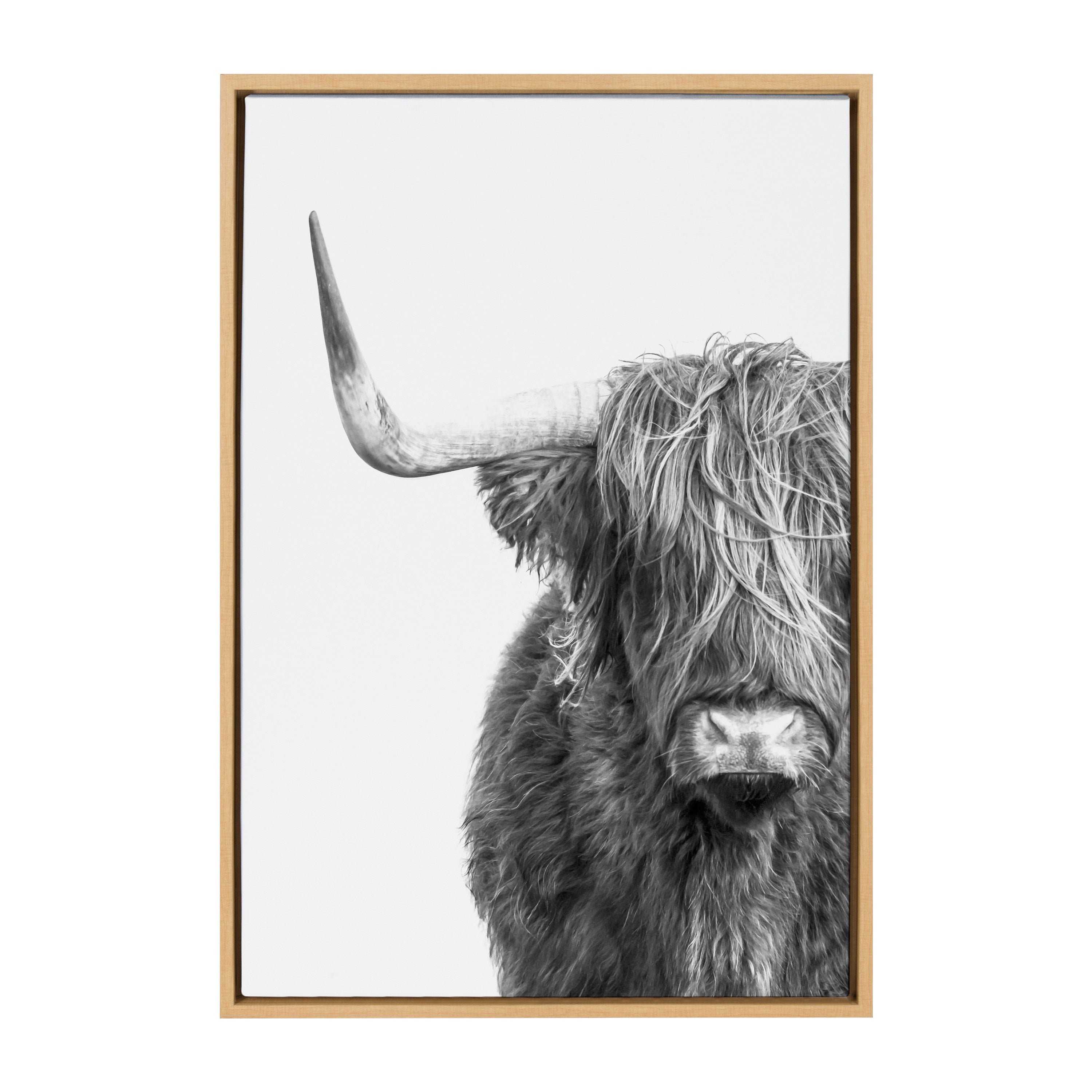 Sylvie B&W Highland Cow No. 1 Framed Canvas by Amy Peterson Art Studio