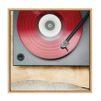 Sylvie Vinyl Vibes Color Framed Canvas by Emiko and Mark Franzen