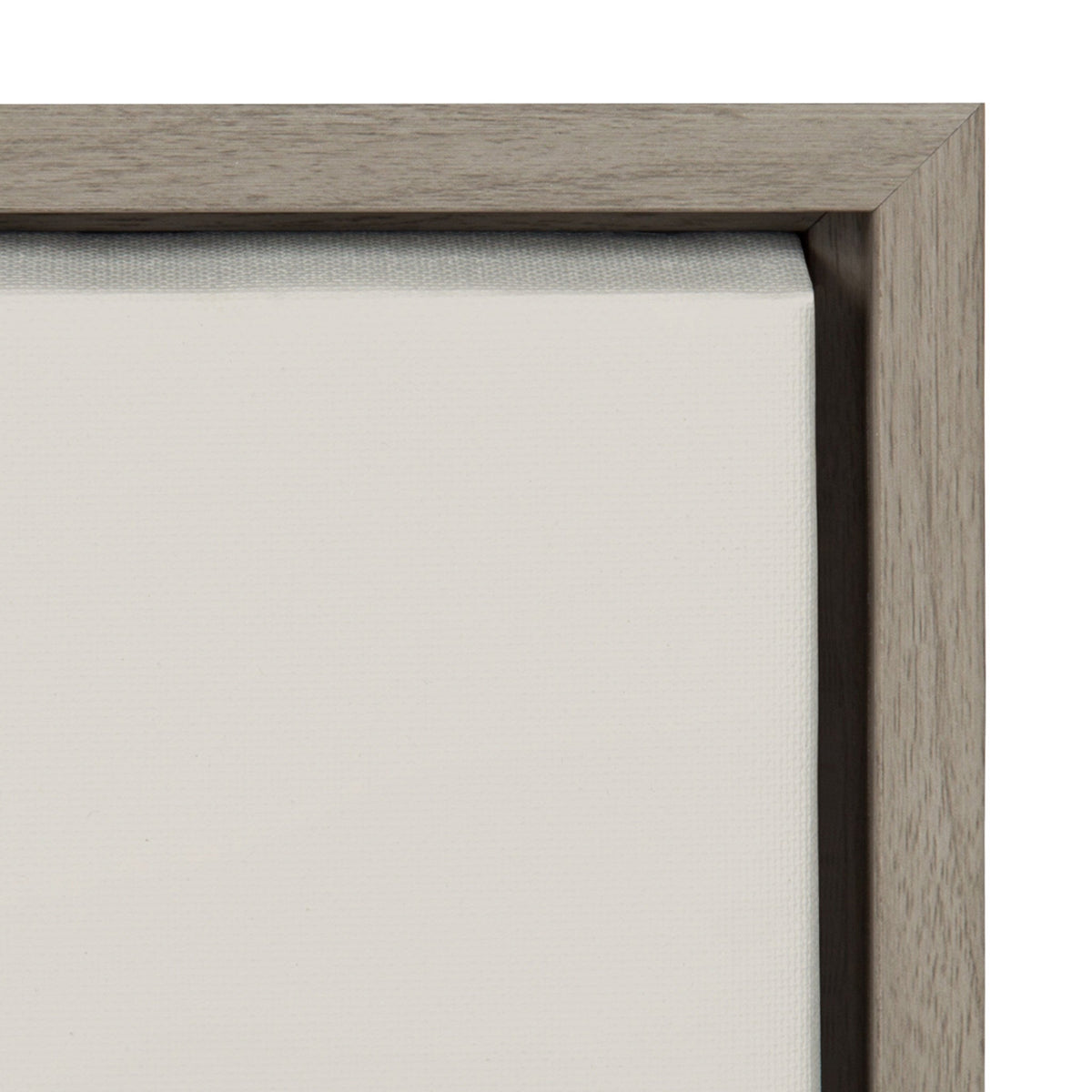 Sylvie The Power of Imagination Framed Canvas by Laura Evans by kateandlaurel - product image 3 for Resin Society