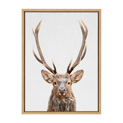 Sylvie The Red Deer Color Framed Canvas by Simon Te of Tai Prints by kateandlaurel - product image 13 for Resin Society