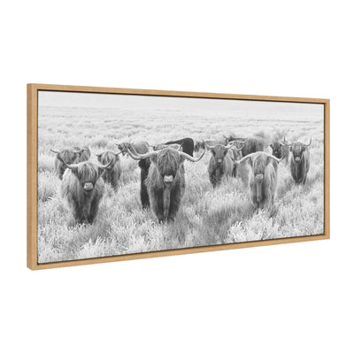 Sylvie Herd of Highland Cows Black and White Framed Canvas by The by kateandlaurel - product image 18 for Resin Society