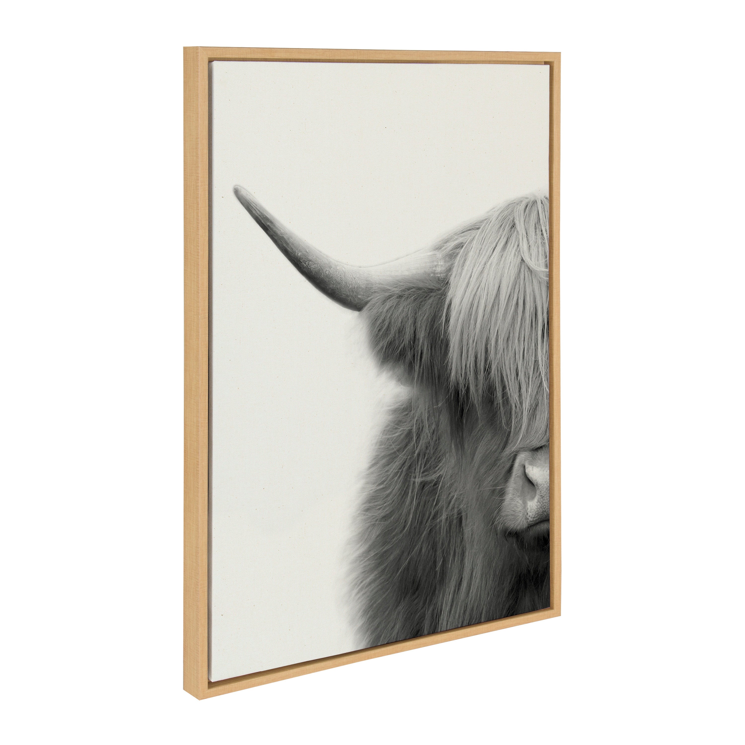 Sylvie Hey Dude Highland Cow Crop Framed Canvas by The Creative Bunch by kateandlaurel - product image 11 for Resin Society