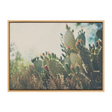 Close-up of prickly pear cactus pads with sunlight filtering through dry desert vegetation, framed in light wood.