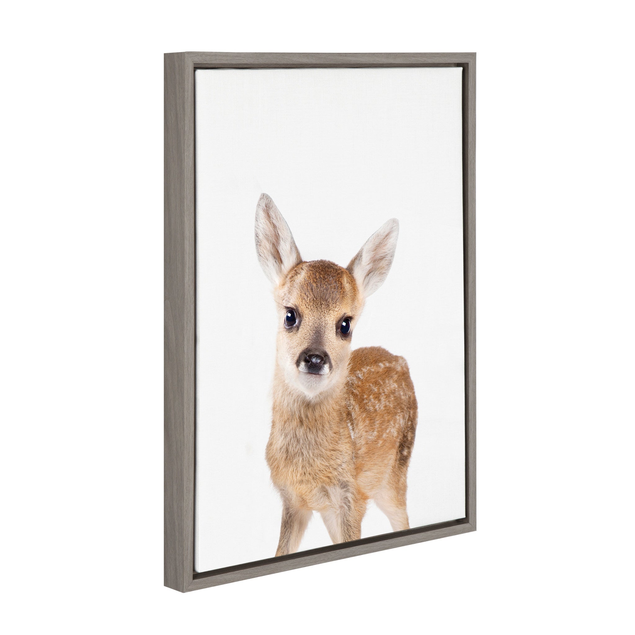 Sylvie Animal Studio Deer Framed Canvas by kateandlaurel - product image 2 for Resin Society