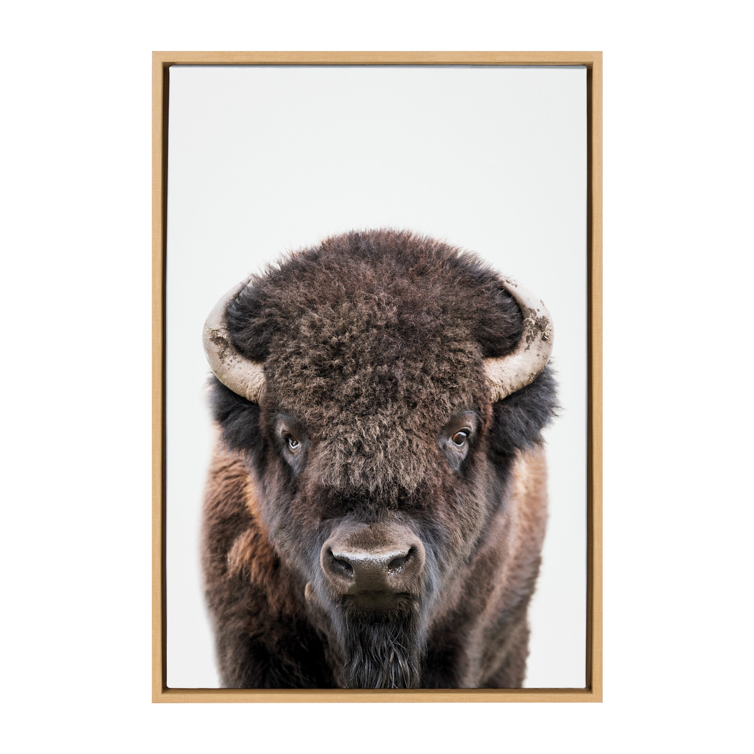 Sylvie Bison Portrait Framed Canvas by Amy Peterson Art Studio