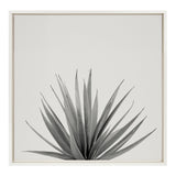 Sylvie Haze Agave Succulent Framed Canvas by The Creative Bunch Studio by kateandlaurel - main product image for Resin Society