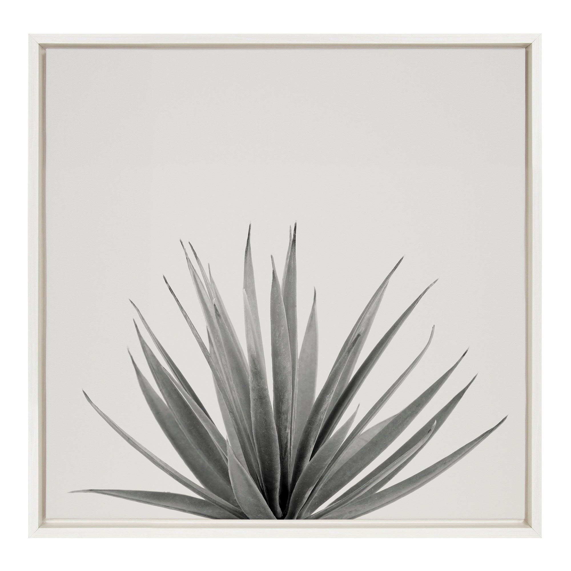 Sylvie Haze Agave Succulent Framed Canvas by The Creative Bunch Studio by kateandlaurel - main product image for Resin Society