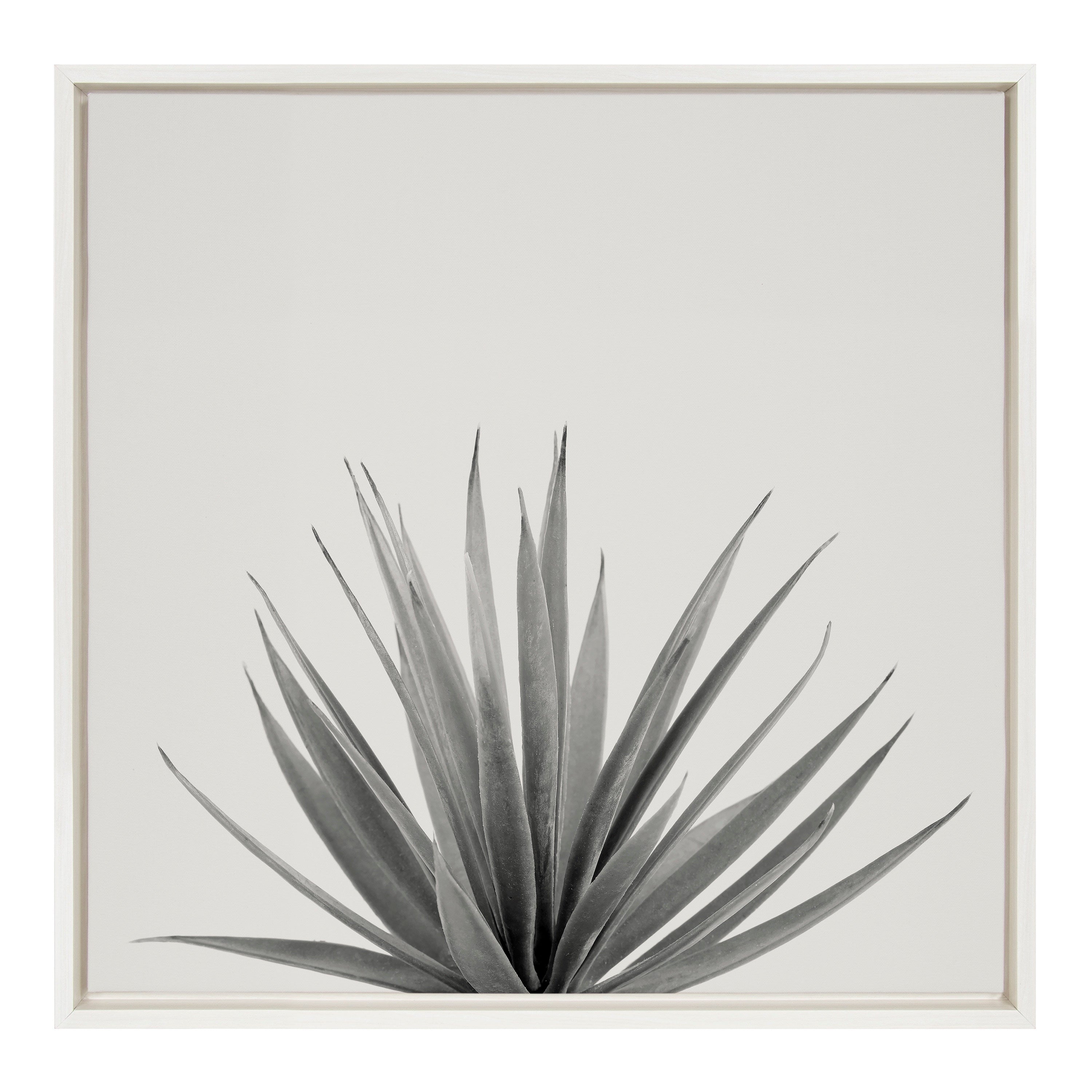 Sylvie Haze Agave Succulent Framed Canvas by The Creative Bunch Studio by kateandlaurel - main product image for Resin Society