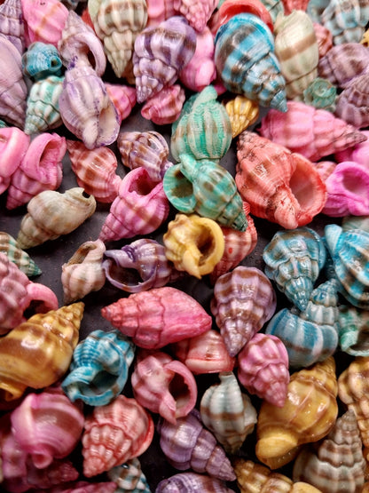 Brightly dyed Nassarius stolatus spiral shells in assorted tropical colors for crafting and jewelry