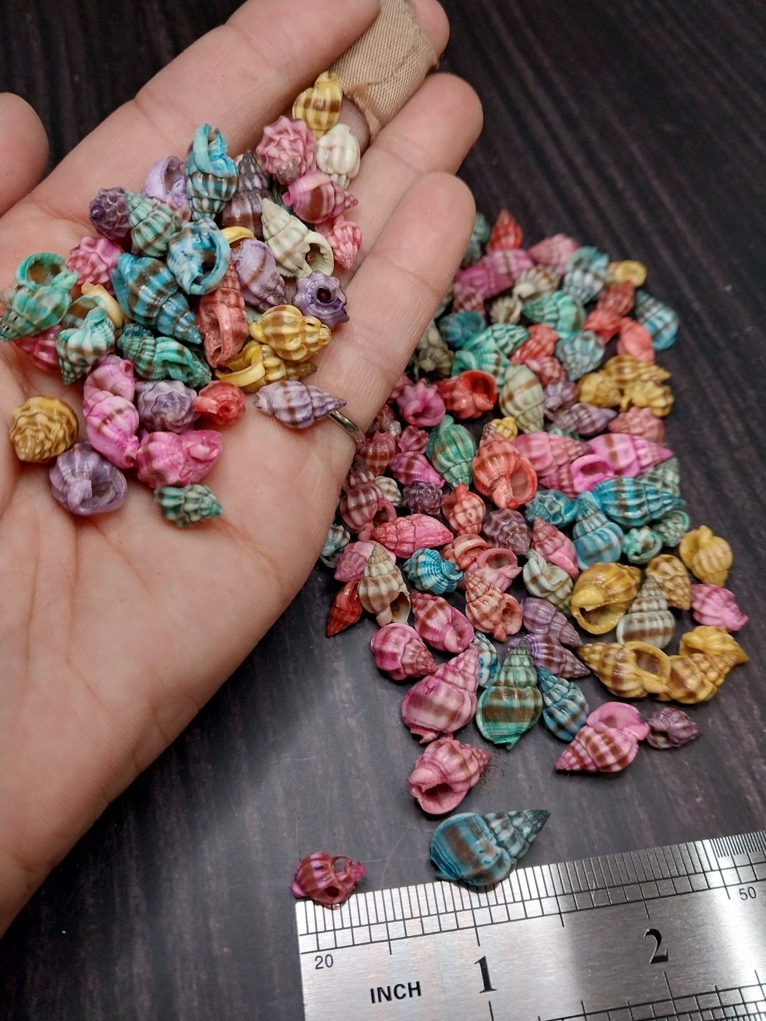 Brightly dyed Nassarius stolatus spiral shells in assorted tropical colors for crafting and jewelry
