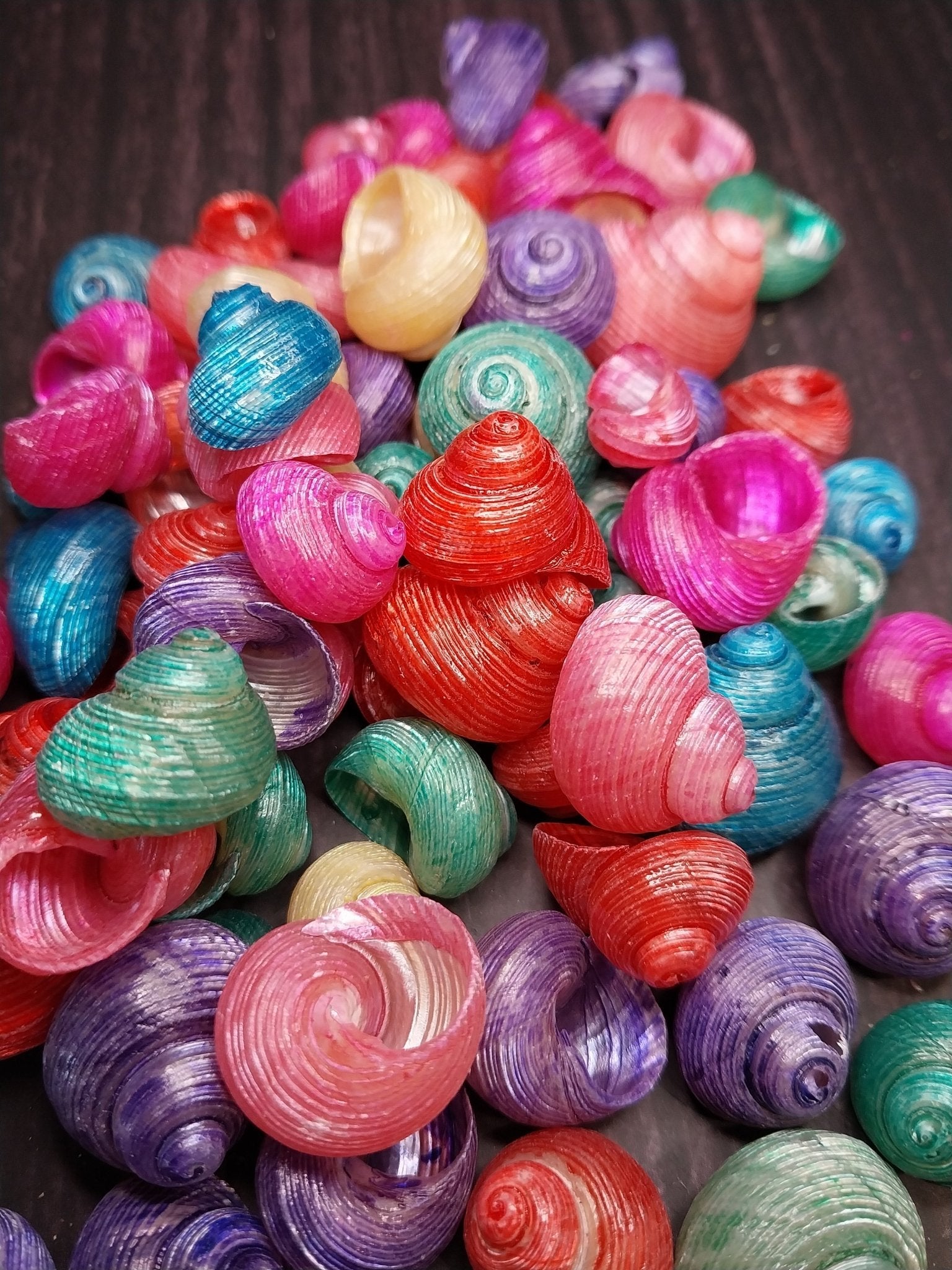 Brightly dyed turbo shells showing spiral patterns in assorted vibrant colors
