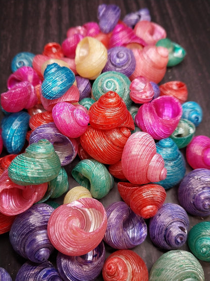Brightly dyed turbo shells showing spiral patterns in assorted vibrant colors