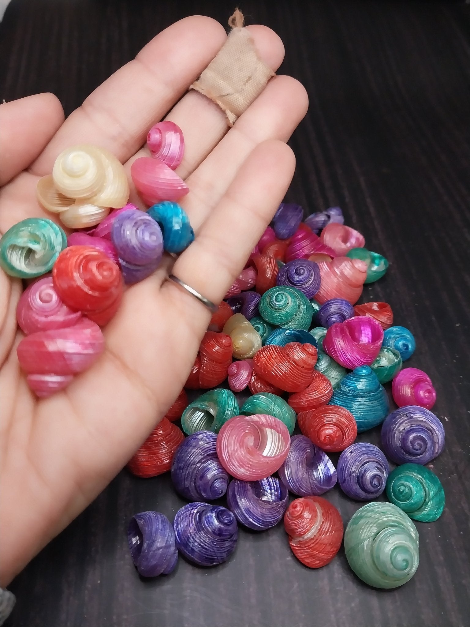 Brightly dyed turbo shells showing spiral patterns in assorted vibrant colors