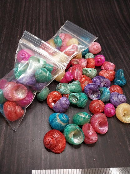 Brightly dyed turbo shells showing spiral patterns in assorted vibrant colors