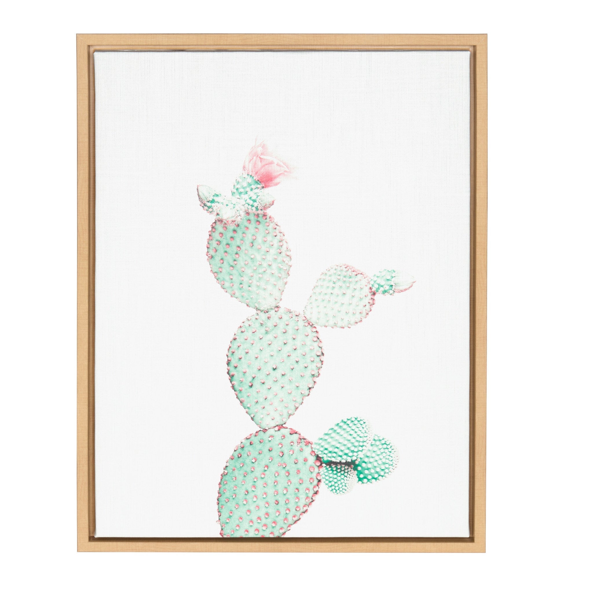 Sylvie Prickly Pear Framed Canvas by Simon Te Tai by kateandlaurel - main product image for Resin Society
