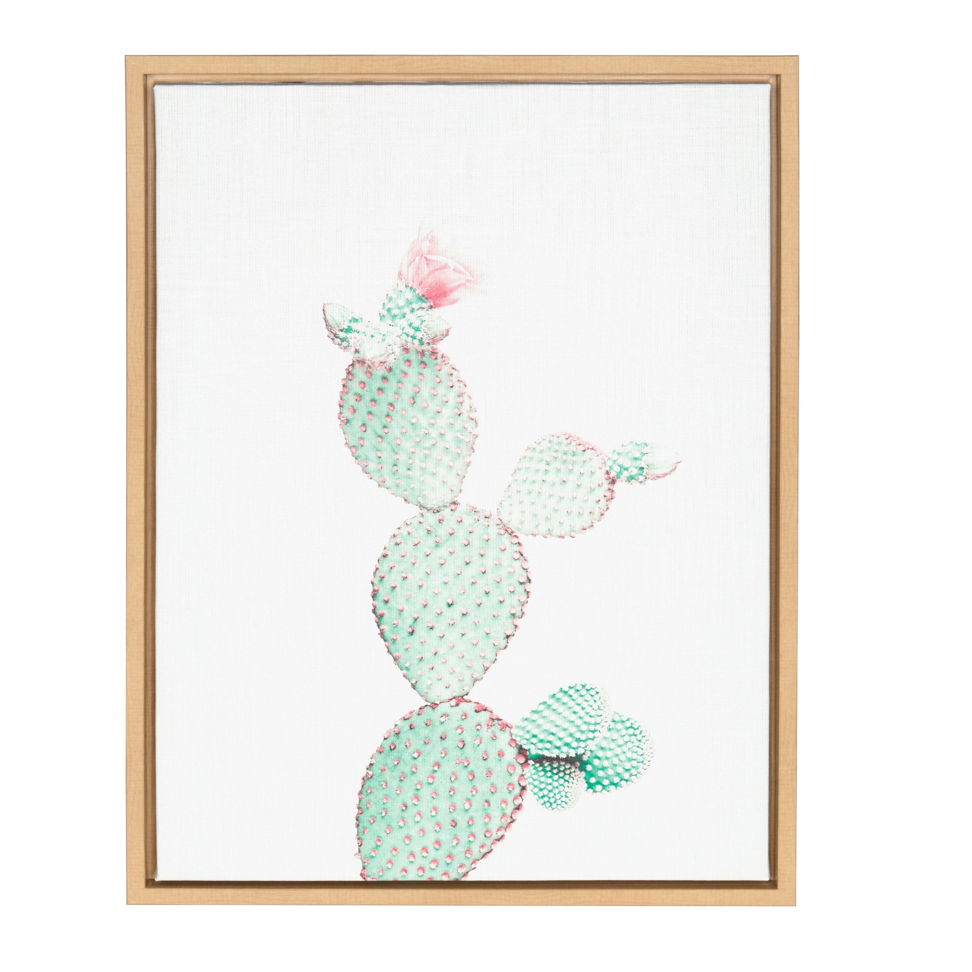 Sylvie Prickly Pear Framed Canvas by Simon Te Tai by kateandlaurel - product image 7 for Resin Society