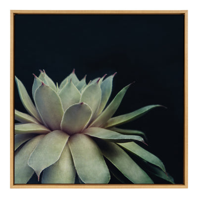 Sylvie Succulent Framed Canvas by F2 Images by kateandlaurel - product image 9 for Resin Society
