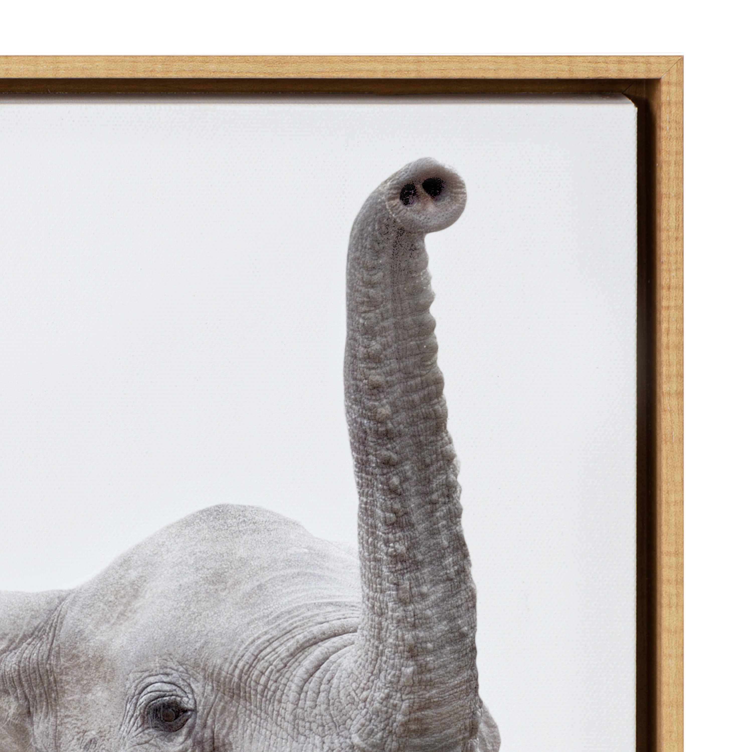 Sylvie Safari Animal Framed Canvas Art Set by Amy Peterson by kateandlaurel - product image 3 for Resin Society