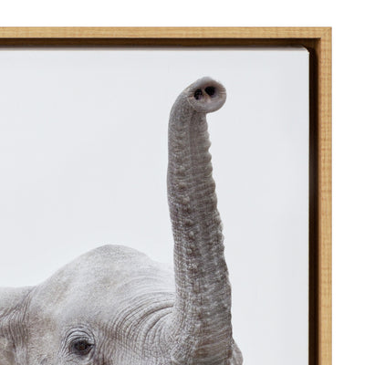 Sylvie Safari Animal Framed Canvas Art Set by Amy Peterson by kateandlaurel - product image 3 for Resin Society