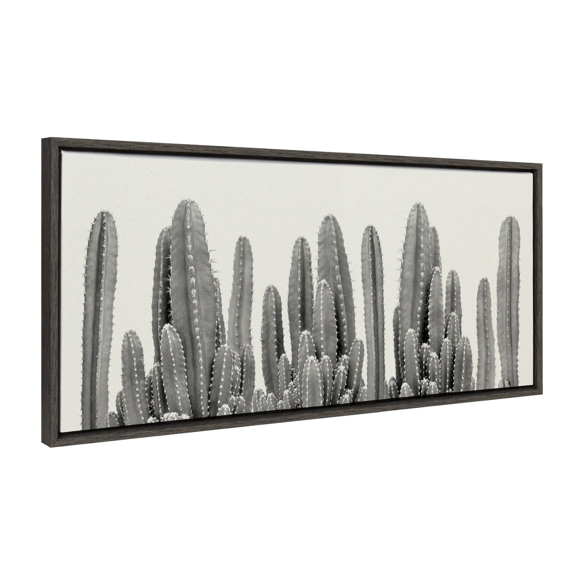 Sylvie Looking Sharp Cactus Garden Framed Canvas by The Creative Bunch by kateandlaurel - product image 2 for Resin Society