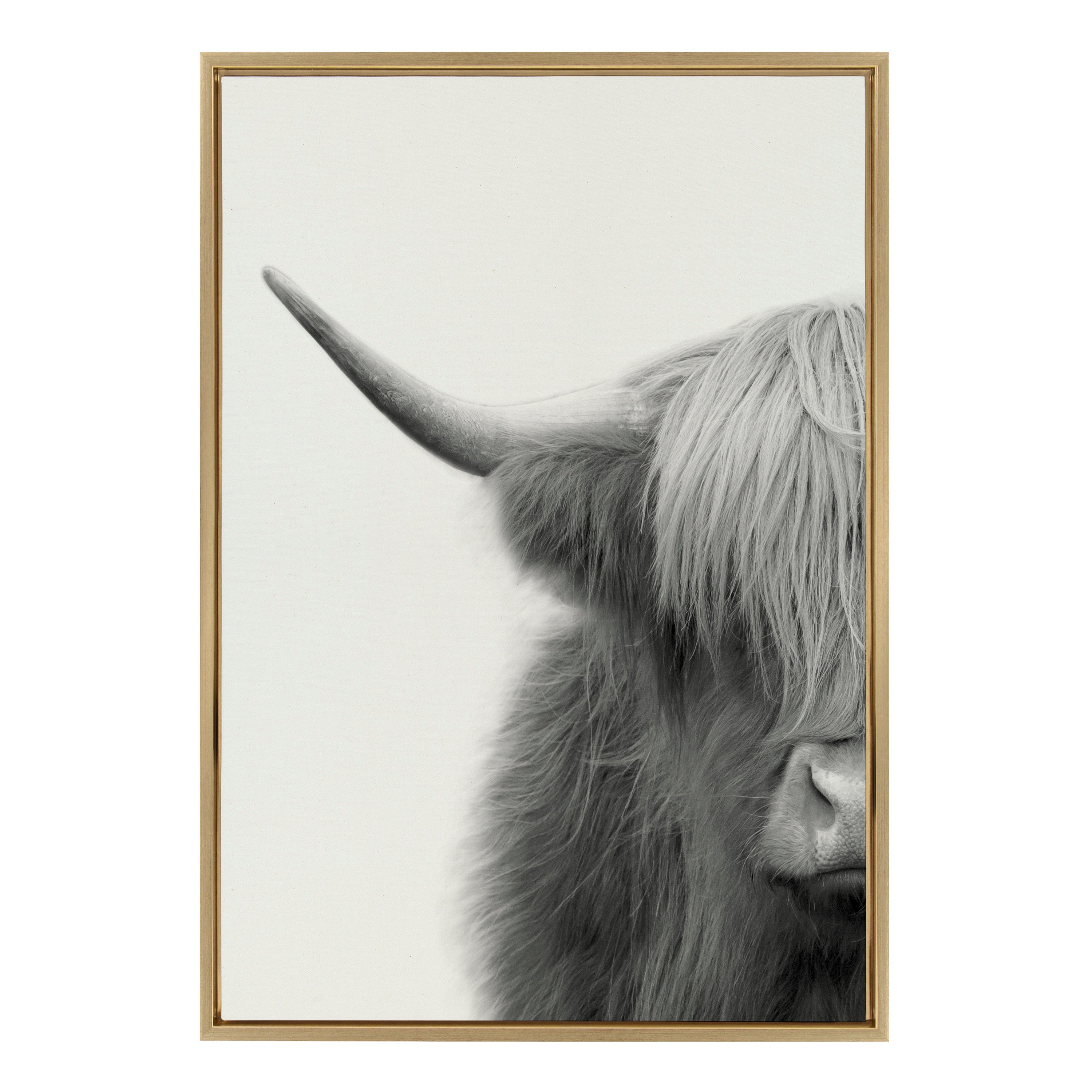 Sylvie Hey Dude Highland Cow Crop Framed Canvas by The Creative Bunch