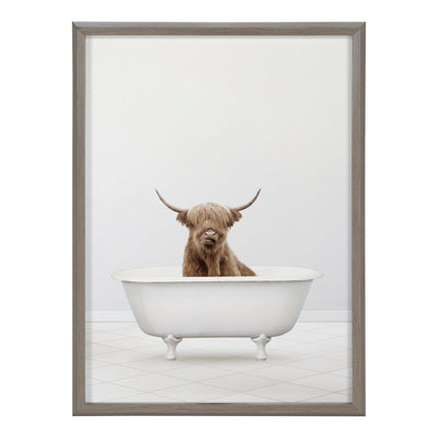 Blake Highland Cow Solo Bathtub Framed Printed Glass by Amy Peterson Art Studio