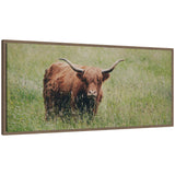 Framed canvas wall art of a Highland cow standing in a green field, with long horns and shaggy coat, in a walnut frame.