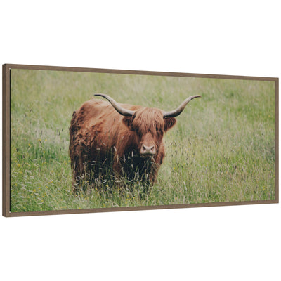 Framed canvas wall art of a Highland cow standing in a green field, with long horns and shaggy coat, in a walnut frame.