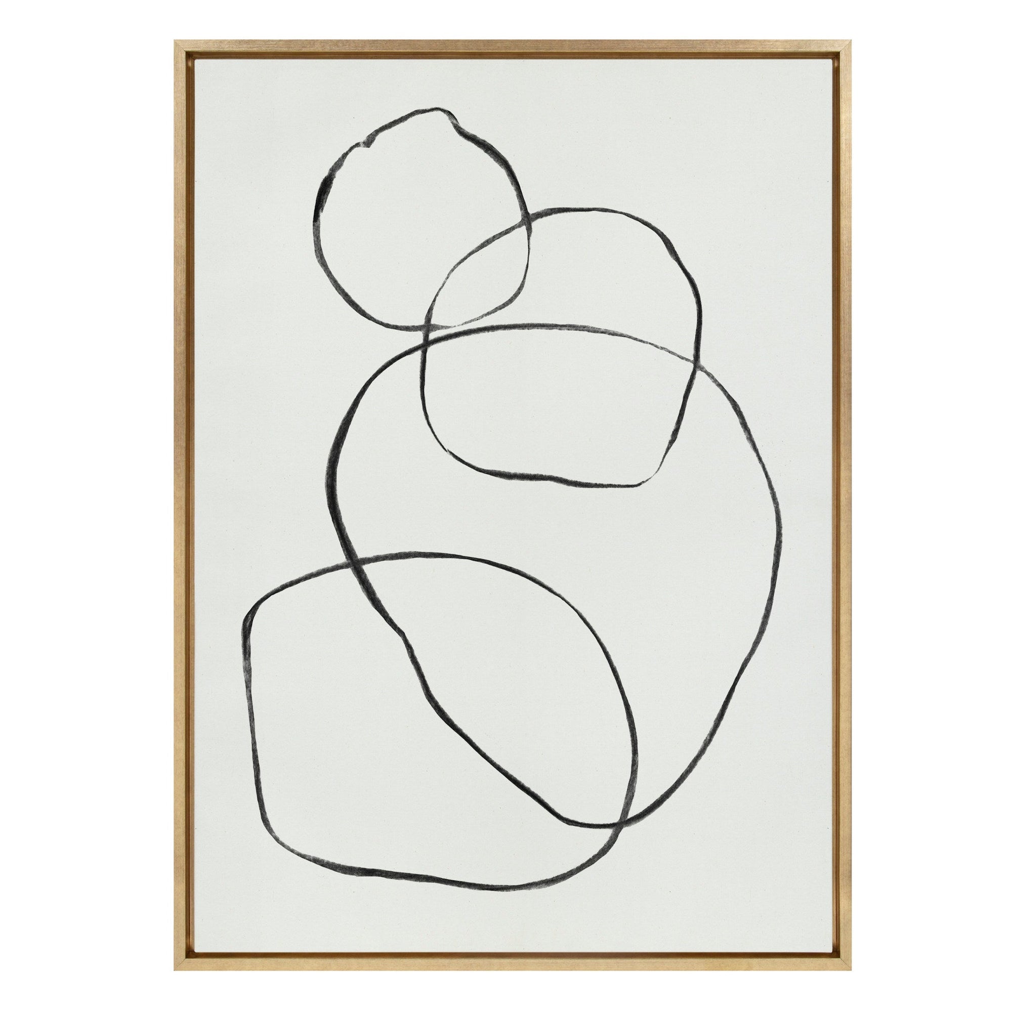 Sylvie 869 Going in Circles Framed Canvas by kateandlaurel - main product image for Resin Society