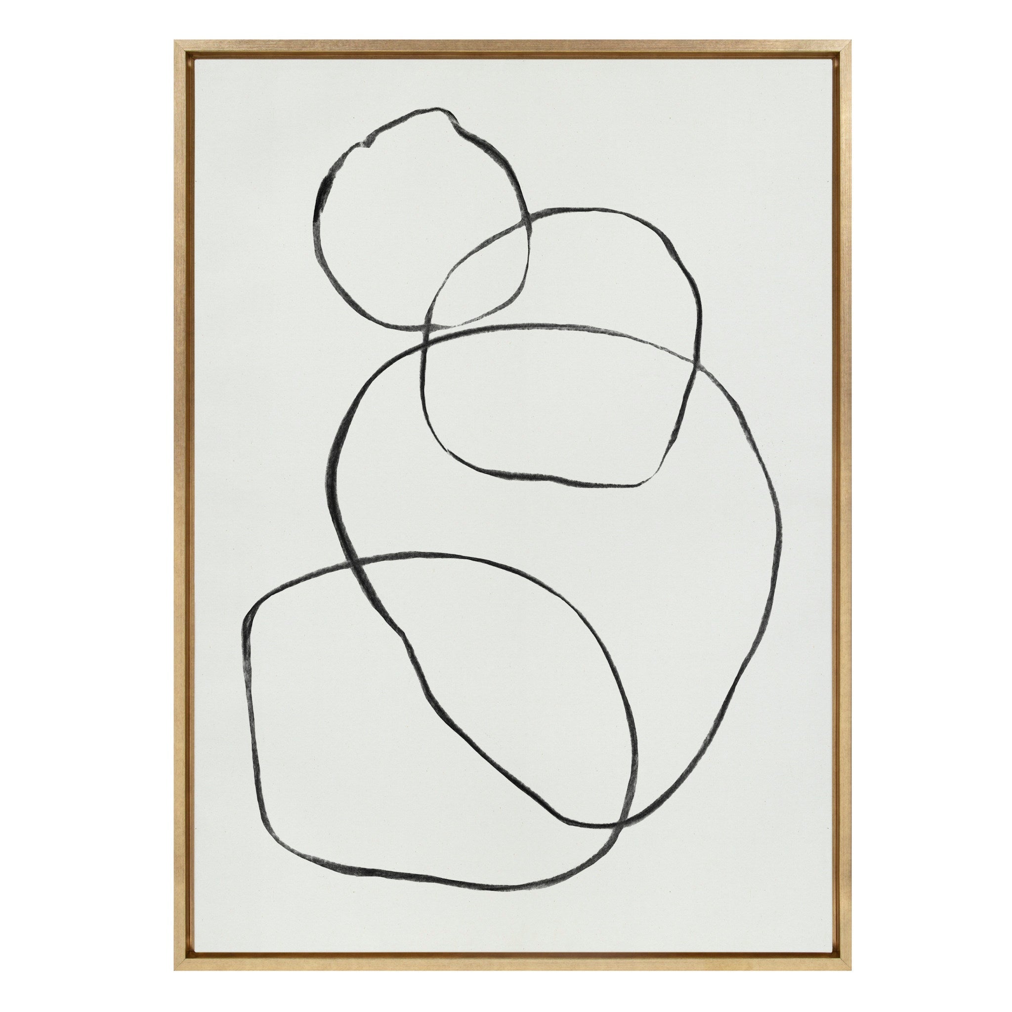 Sylvie 869 Going in Circles Framed Canvas by kateandlaurel - main product image for Resin Society