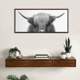 Framed black and white close-up portrait of a Highland cow with long curved horns and shaggy hair hanging on a beige wall above a wooden floating shelf with plants and books.