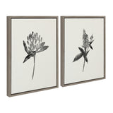 Sylvie Vintage Botanical 1 and 2 Framed Canvas by kateandlaurel - product image 13 for Resin Society