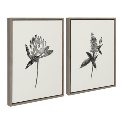 Sylvie Vintage Botanical 1 and 2 Framed Canvas by kateandlaurel - product image 13 for Resin Society