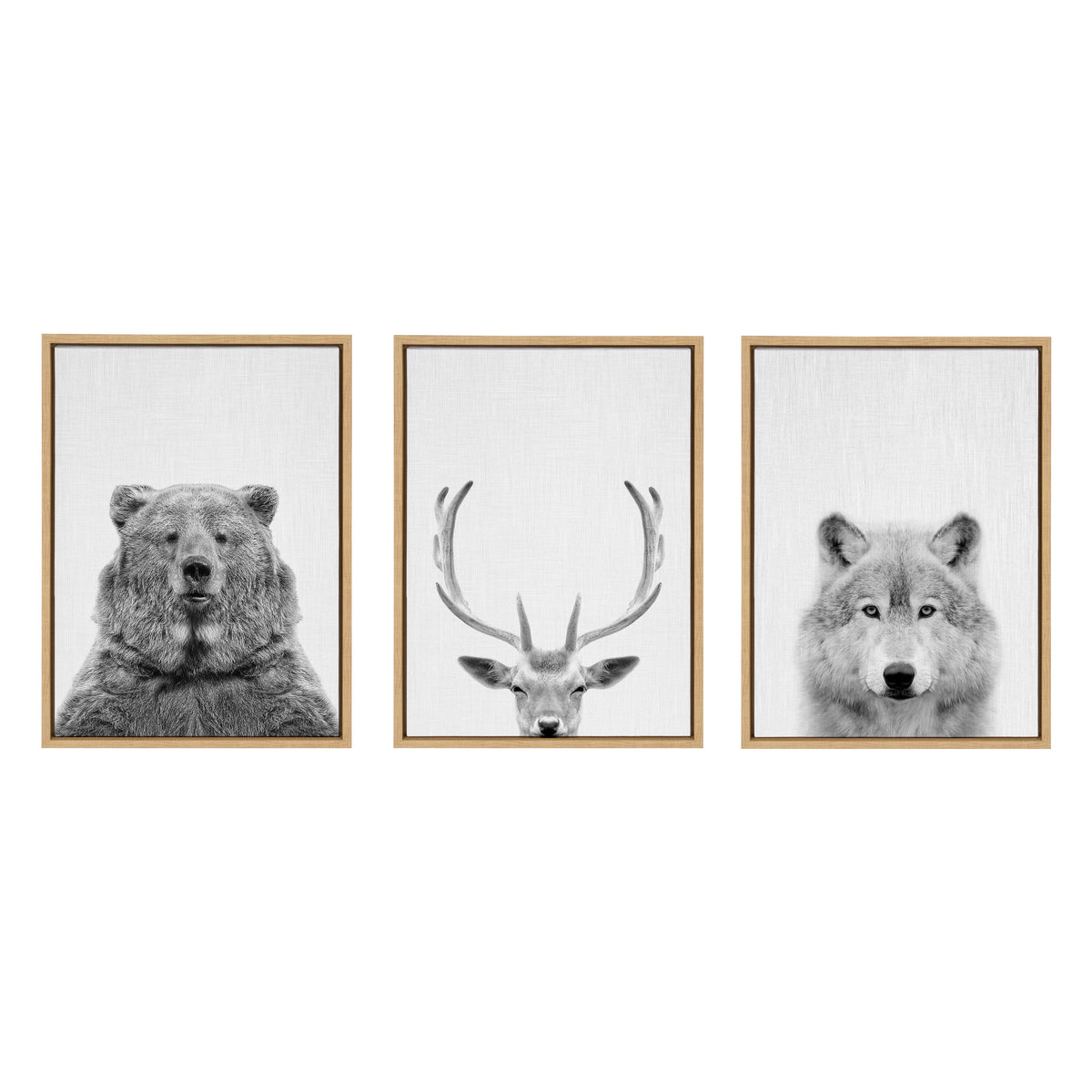 Three framed black and white canvases showing close-up portraits of a bear, a deer with prominent antlers, and a wolf against plain white backgrounds.