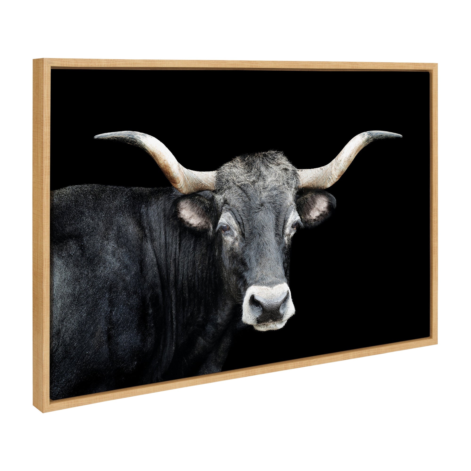 Framed canvas art featuring a longhorn bull head, natural color, Sylvie Tudanca by Xyo
