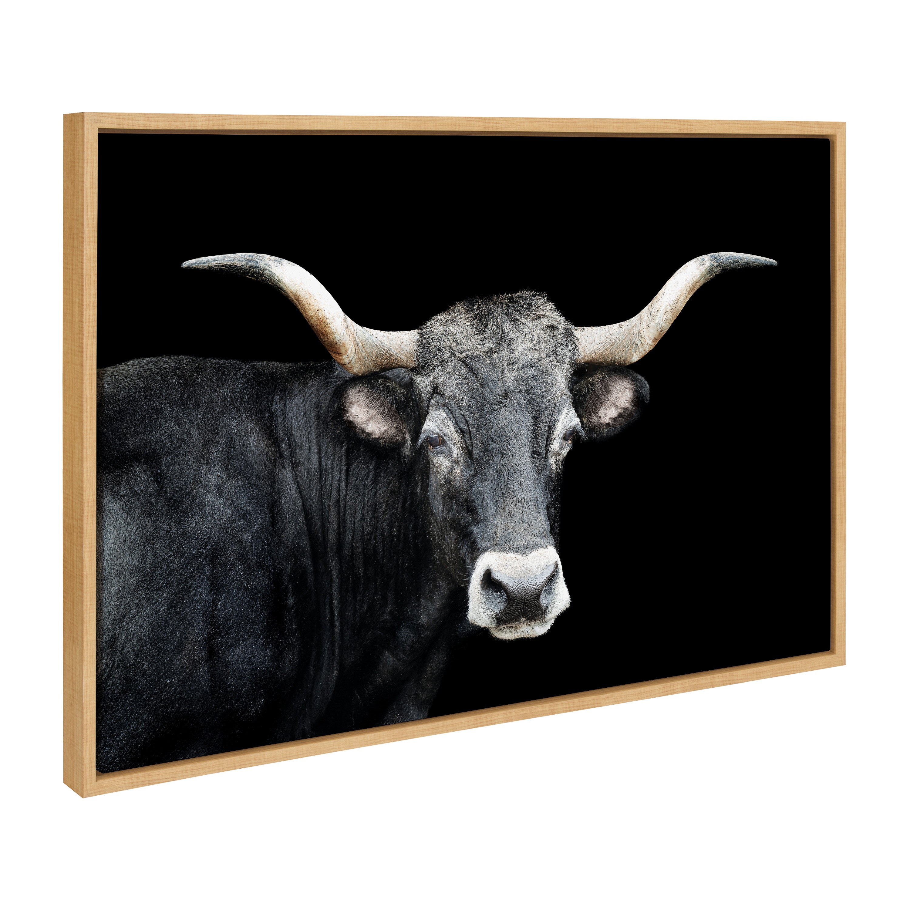 Framed canvas art featuring a longhorn bull head, natural color, Sylvie Tudanca by Xyo