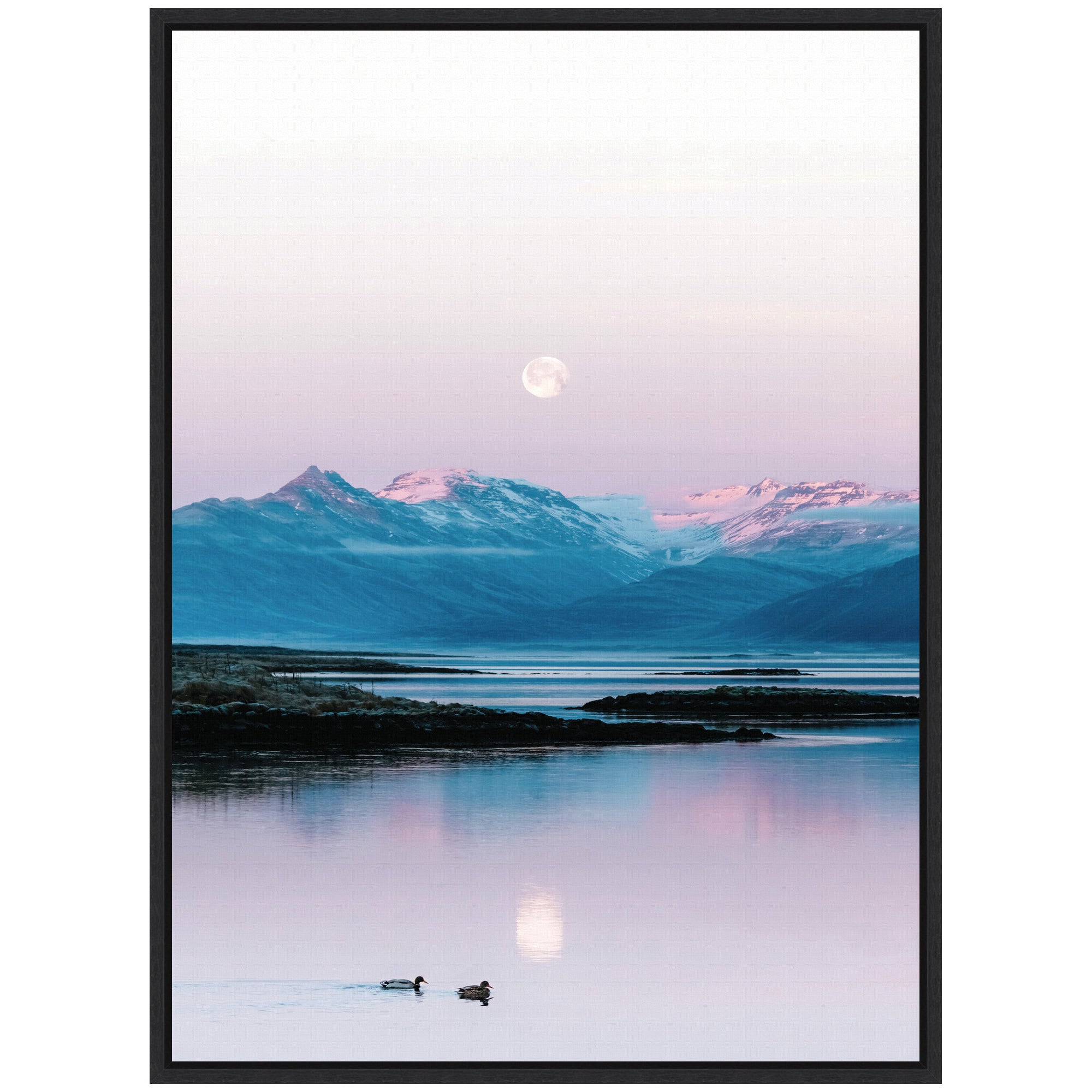 Sylvie Two Ducks in a Lake during Pastel Moonrise over Icelandic Mountains Framed Canvas by Michael Schauer