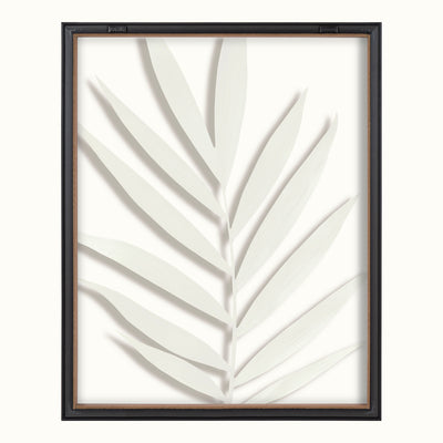 Blake Botanical 5F Framed Printed Glass by Amy Peterson