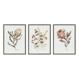 Sylvie Wild Banksia Wild Salvia and Wild King Protea Framed Canvas by kateandlaurel - product image 8 for Resin Society