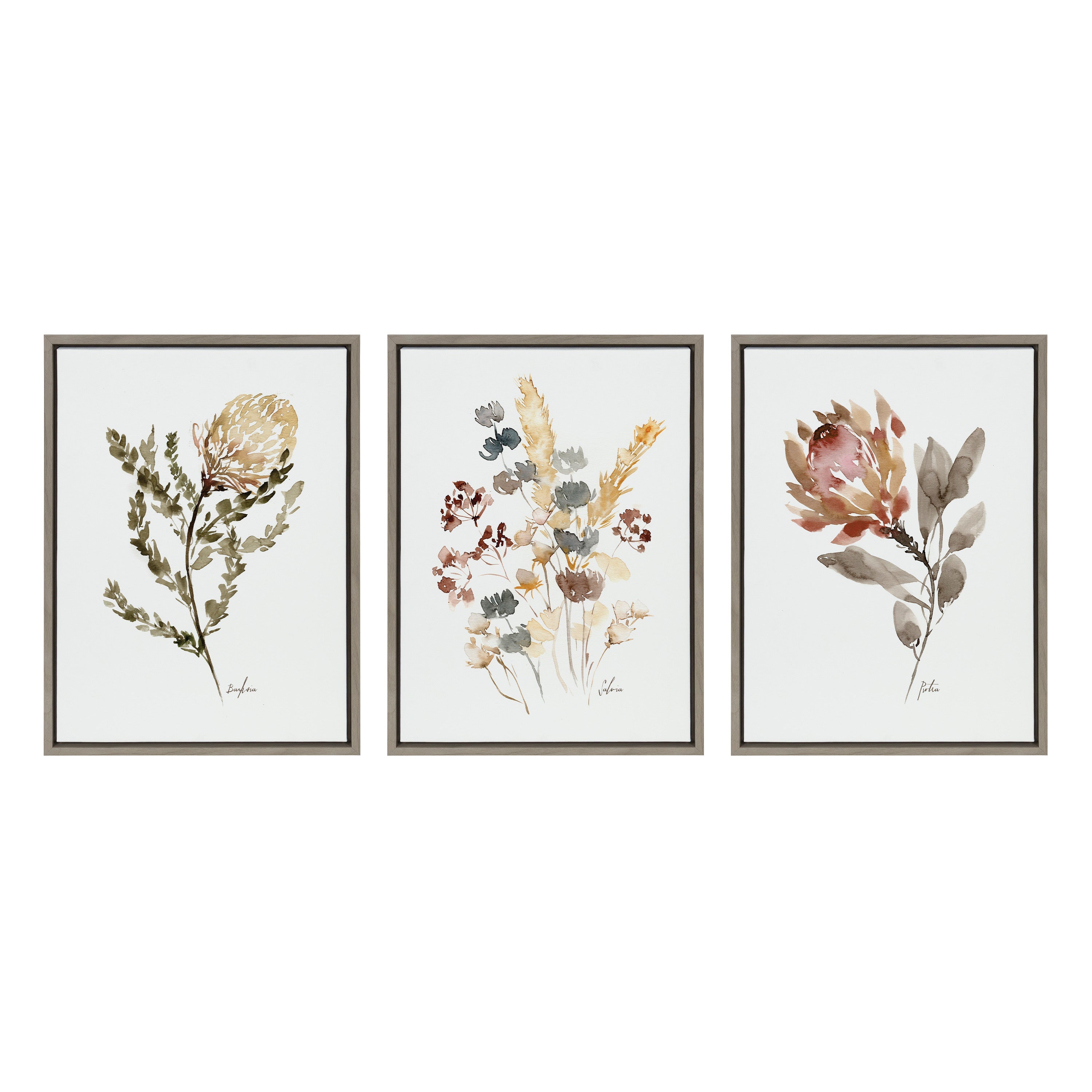 Sylvie Wild Banksia Wild Salvia and Wild King Protea Framed Canvas by kateandlaurel - product image 8 for Resin Society
