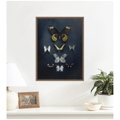 Butterfly Study Dark by Emiko and Mark Franzen F2 Images Framed Canvas Wall Art Print