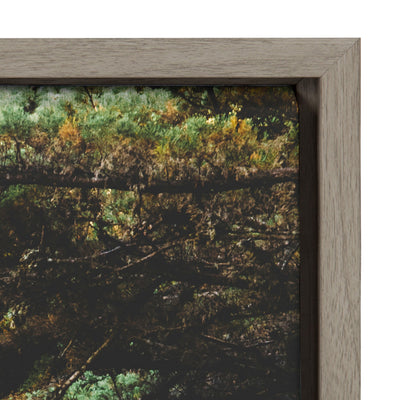 Sylvie Road Tripping Framed Canvas by Patricia Hasz
