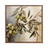 Oil painting of olive branches with green olives and elongated leaves in muted green and beige tones, framed in a detailed gold frame.
