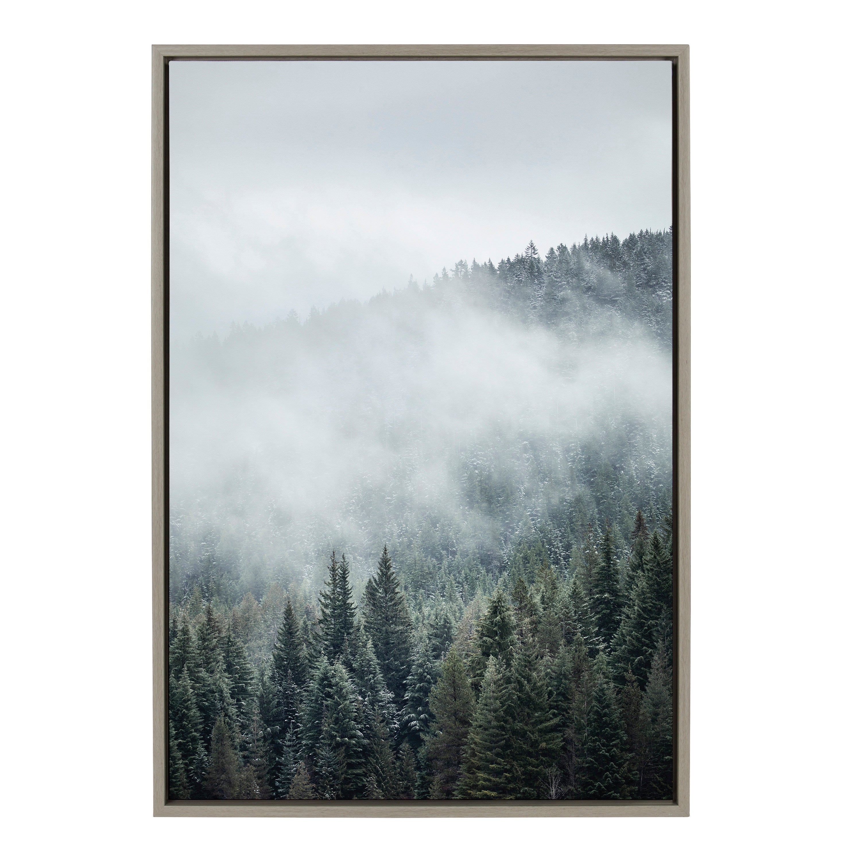 Sylvie Evergreens In Fog Framed Canvas by Emiko and Mark Franzen of F2Images