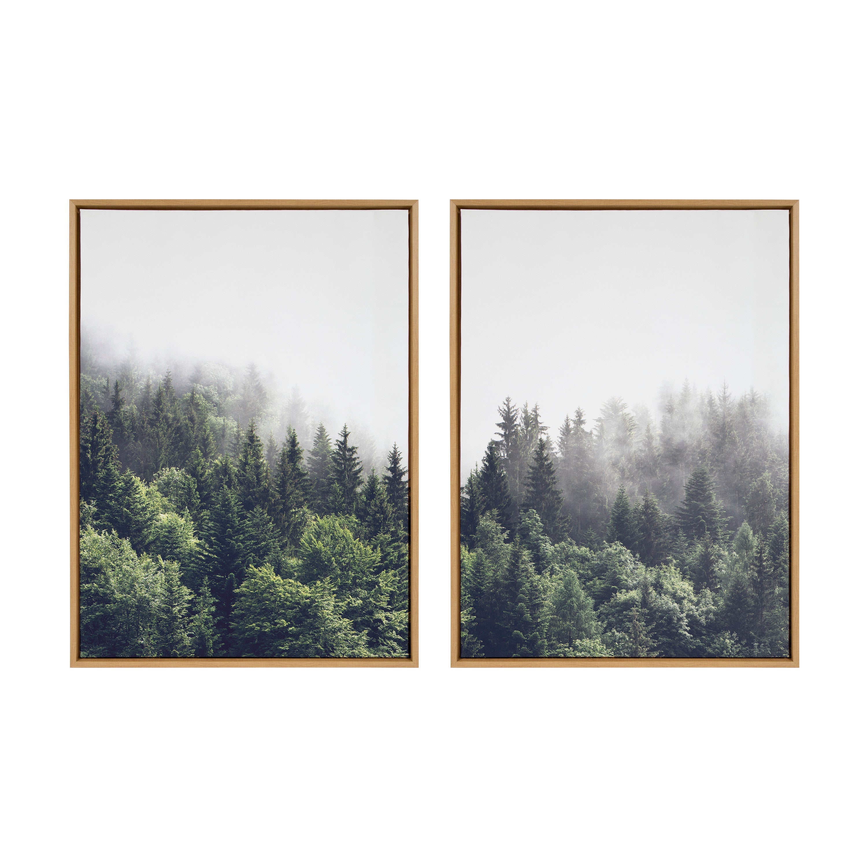 Sylvie Lush Green Forest on a Foggy Day Framed Canvas Set by The