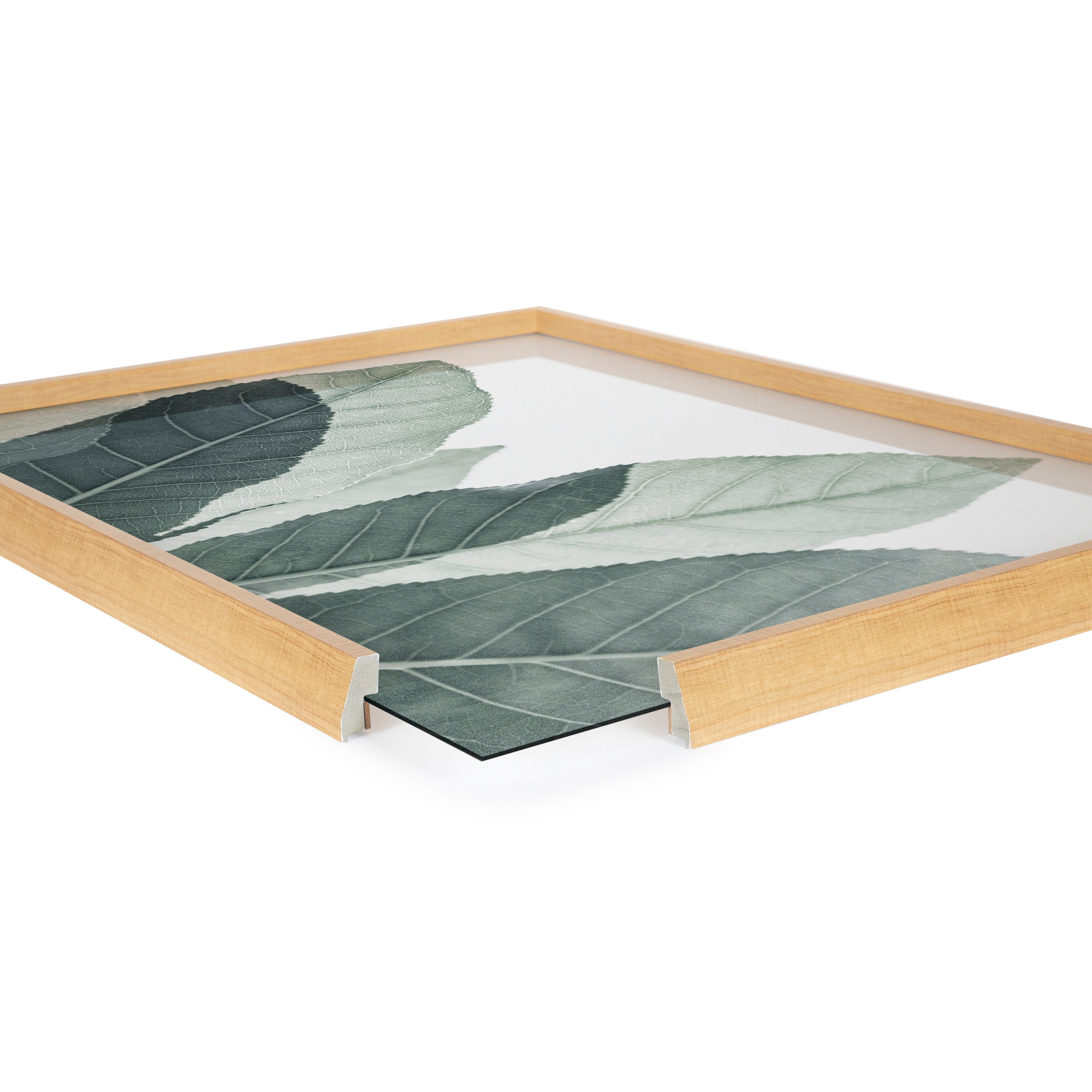 Blake Modern Green Leaf Botanical III Framed Printed Glass by The by kateandlaurel - product image 3 for Resin Society