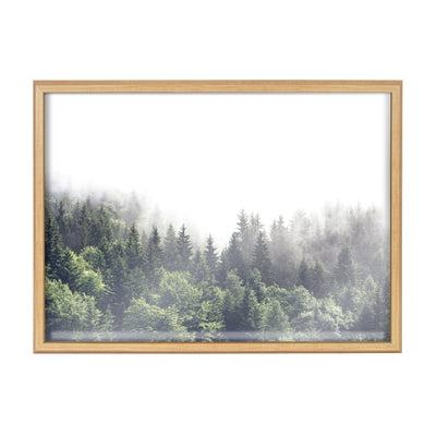 Blake Lush Green Forest on a Foggy Day Framed Printed Glass