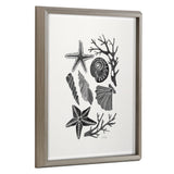Blake Seashells Black Framed Printed Glass by Cat Coquillette by kateandlaurel - main product image for Resin Society