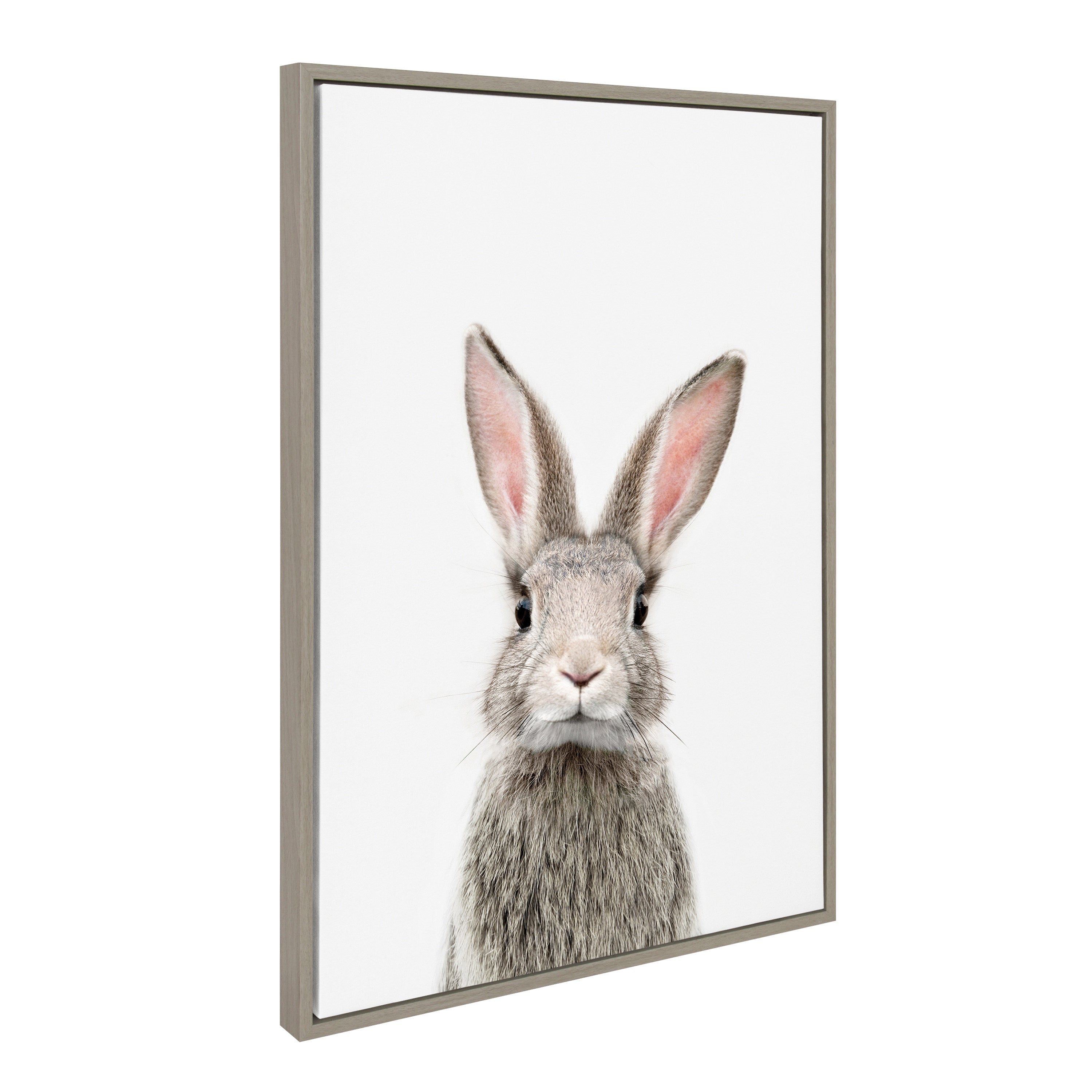 Sylvie Young Rabbit Framed Canvas by Amy Peterson Art Studio